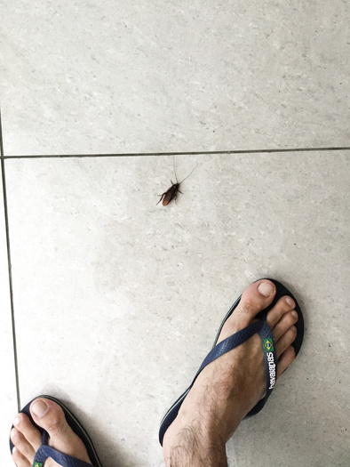Roach under my tanned feet