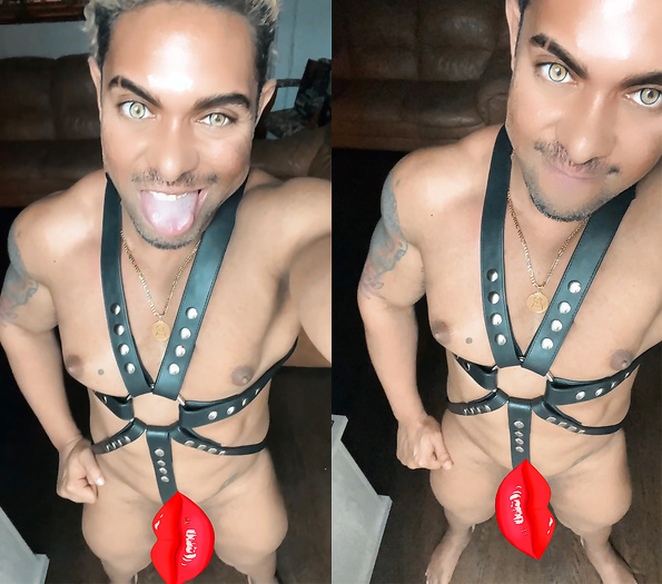 Censored Leather Harness
