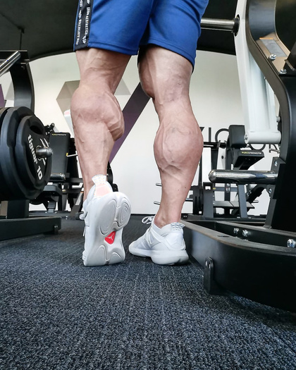 MUscle legs and calves