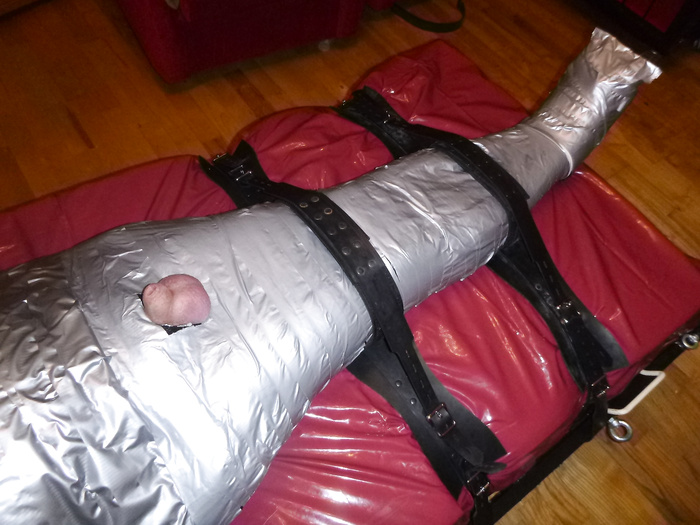 Segufixed silver mummified slave.