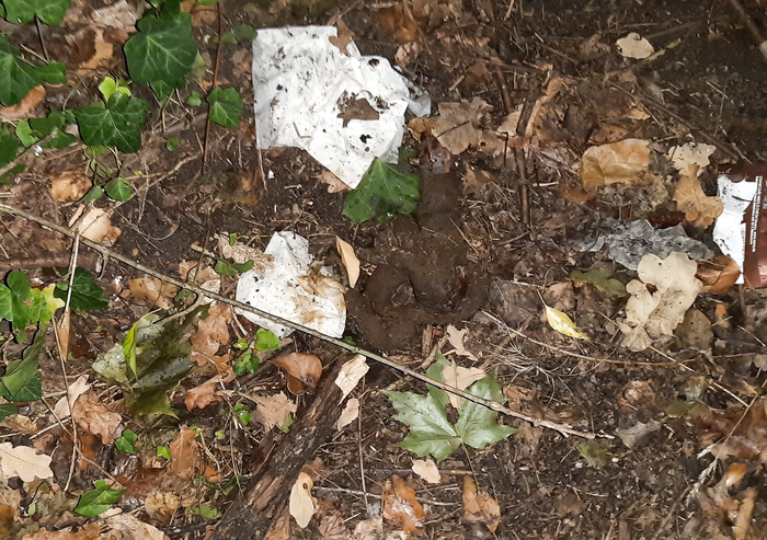 I found a big pile of strangers poop and mixed it with mine