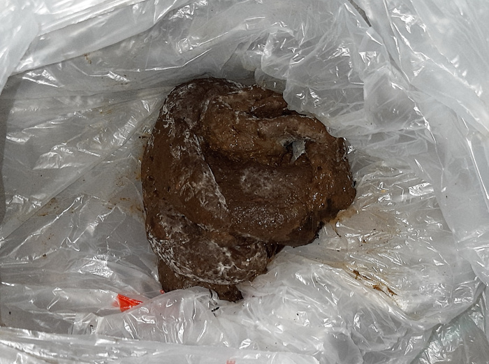 I found a big pile of strangers poop and mixed it with mine