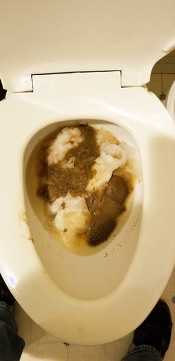 Clogged toilets