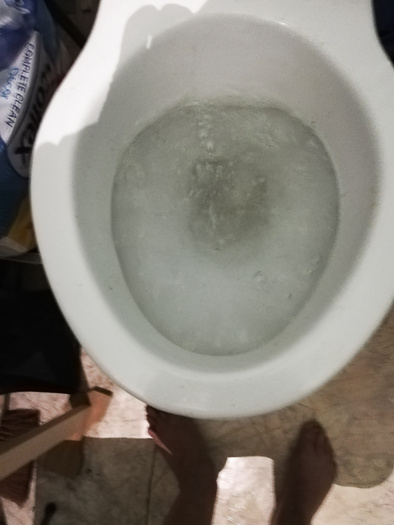 My clogged toilet