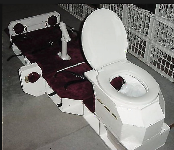 Majestic Thrones for HUMAN TOILETS