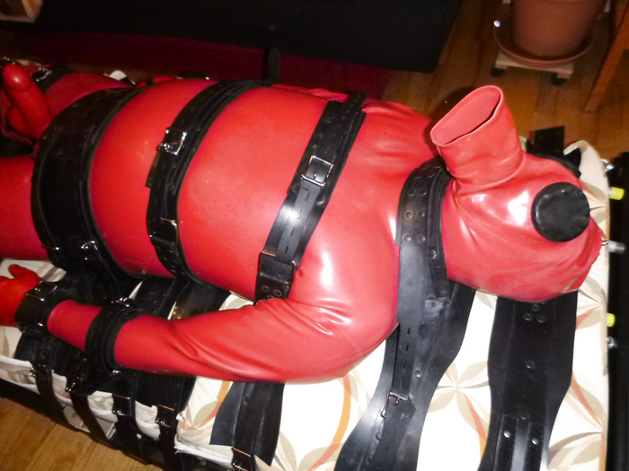 Restrained in a red rubbersuit