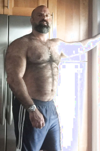 Muscle bears