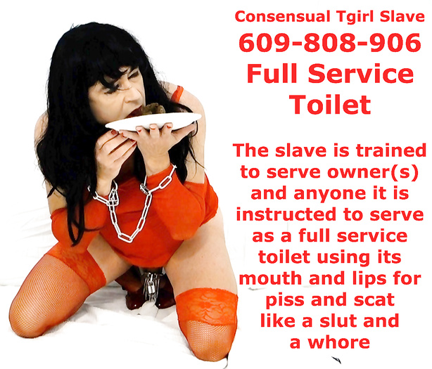 Scat Whore 609-808-906 proof of full service toilet