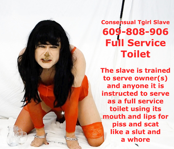 Scat Whore 609-808-906 proof of full service toilet