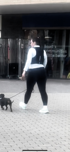 Sexy brunette dog walker