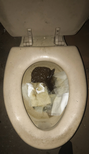 Abandoned toilet poo