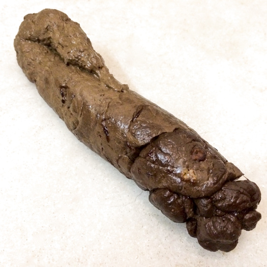 Another big and natural turd