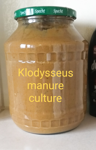 Klodysseus' manure factory