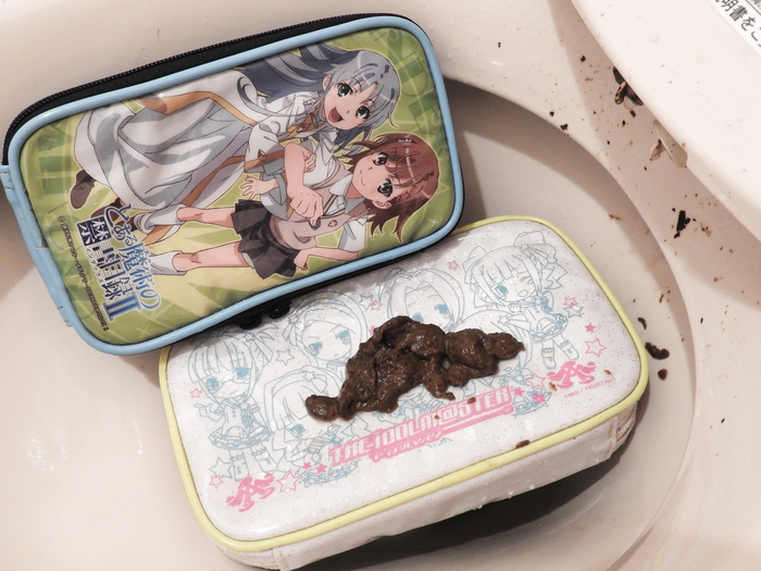 Pissing and pooping to Japanese anime goods