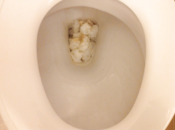700px x 523px - Clogged hotel toilet - Image 571521 - ThisVid tube