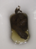 my shit in the toilet