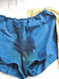 Blue German Gym Shorts - piss-stinky