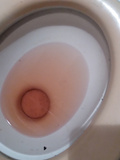 Girls toilet pee