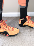 Nike Lebrons with Orange MX