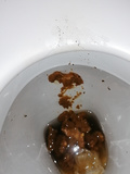 My friends sister's toilet after I'd used it lol