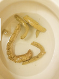 Shitty toilet