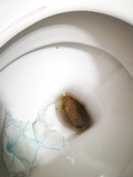 My girlfriend poop surprise