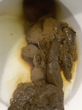 Huge shits in the toilet bowl~ (FTM)