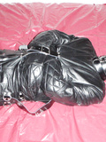 In a leather straitjacket - album 6