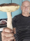 Have a mushroom