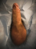 Cock in need of an exam