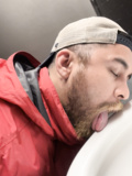 Licking a toilet