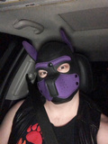 Just a purple pup
