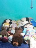 all my stuffed animals