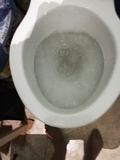 My clogged toilet