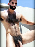 Hairy cocks that turn me on 1