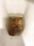 My public toilet dumps