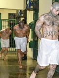 Latino Gangster Prisoners