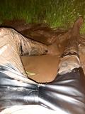 Mudding in black leather pants...