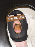 I am a Scat Pig!