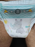 Me wearing Pampers Baby Dry size 8