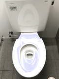 poop flush