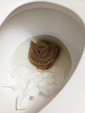 Perfect poop pile 8-7-23