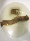 Bae’s buddy stinking up my toilet lol