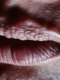 Close up lip