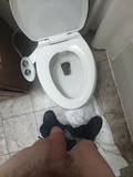 first dump in the new toilet