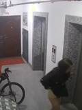Chinese girl poop while waiting elevator