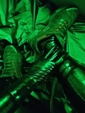 Latex - album 19