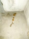A diarrhea in a basement