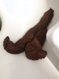 Giant poop from my ass