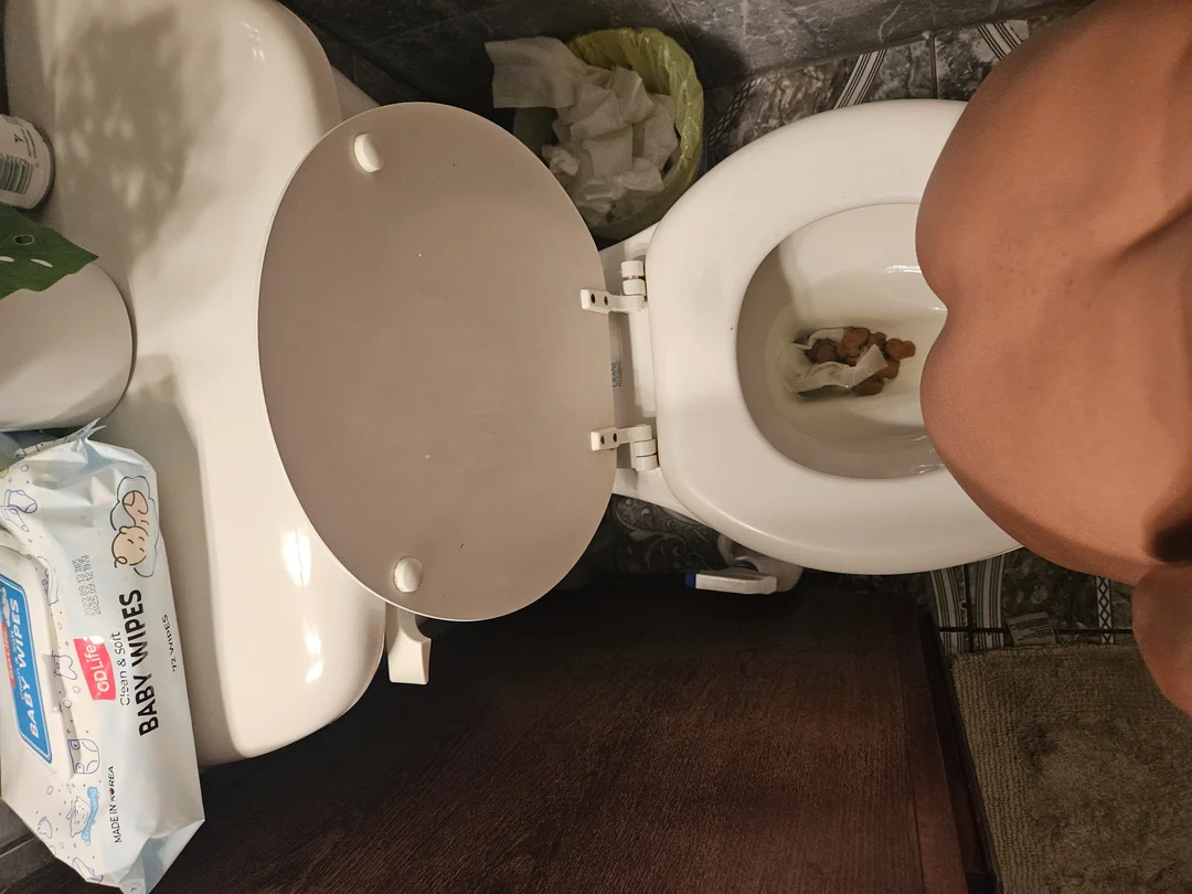 Girl takes a big shit on toilet video 4 ThisVid com 